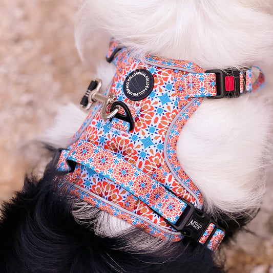 Pollo and Paco - Arnés Adventure Pro - ALHAMBRA