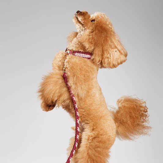 Mila&Coco - Catalina Collar Burgundy Rose - Hecho a Mano