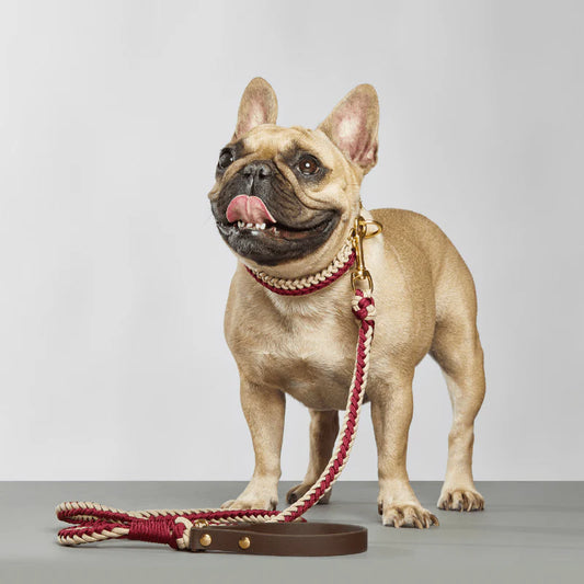 Mila&Coco - Catalina Collar Rojo - Hecho a Mano