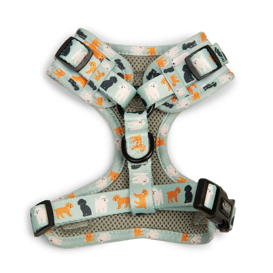 Pollo and Paco - CANICHE - Arnés ajustable para perros