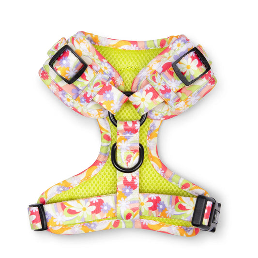 Pollo and Paco - FLOWER POWER - Arnés ajustable para perros