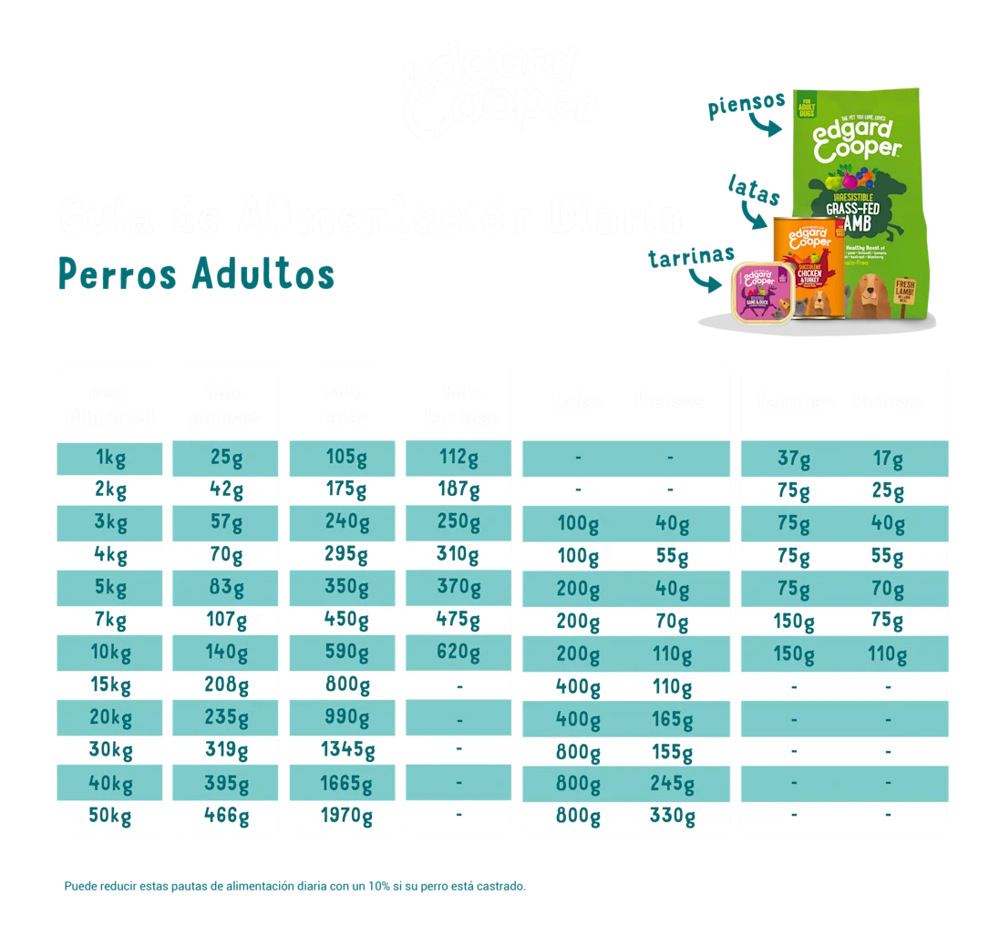 Edgard Cooper Comida húmeda para perros - Pollo y pavo manzana