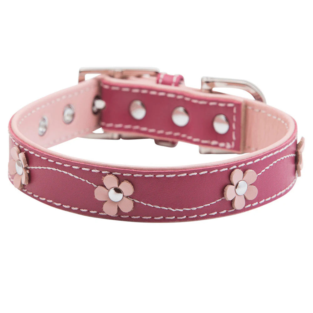 Hamish mcbeth collar para perro Lucy Pink