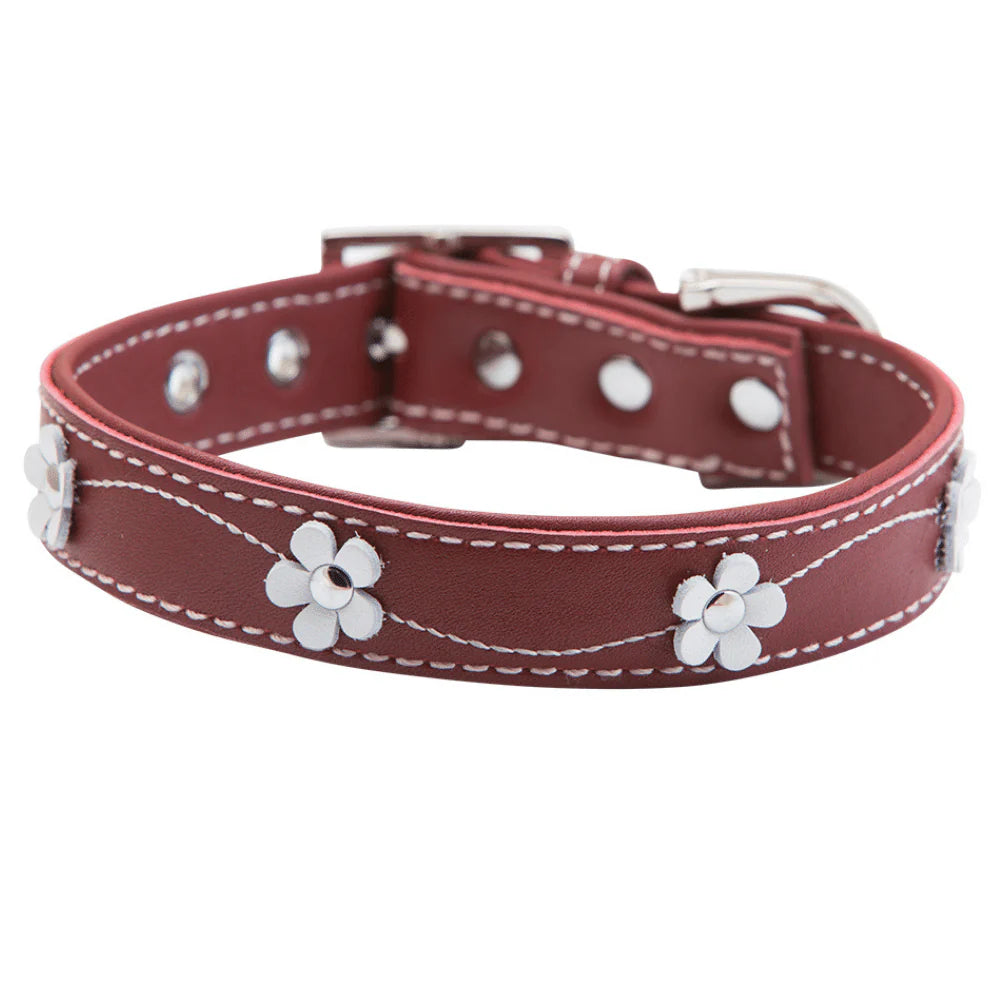 Hamish mcbeth collar para perro Lucy Red