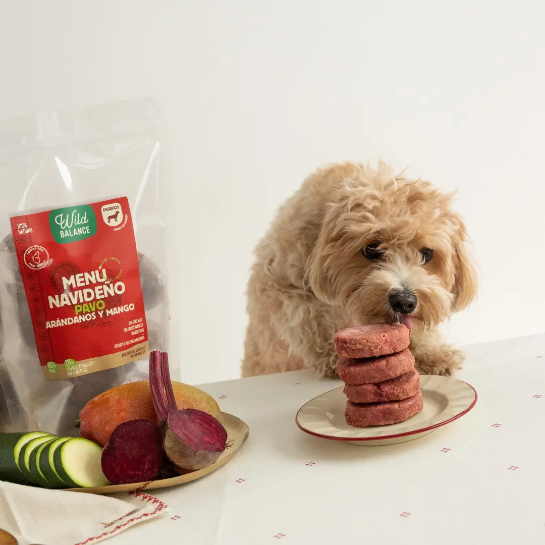 Wild Balance - Dieta BARF de Navidad para Perros - Menú de Pavo.