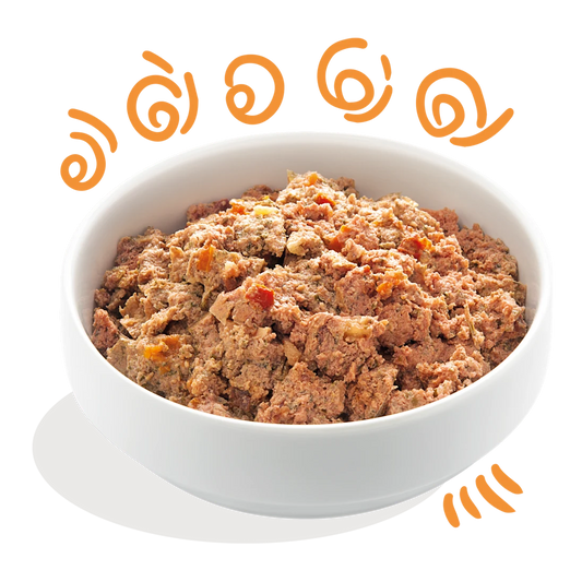 Edgard Cooper Comida húmeda para perros - Salmón y pavo 150G