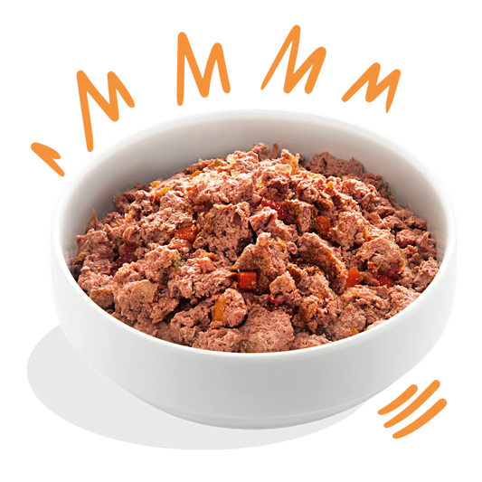 Edgard Cooper Comida húmeda para perros - Pollo y pavo manzana