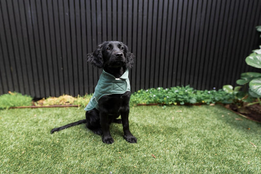 FuzzYard LIFE - Quilted Cotton Wrap Vest