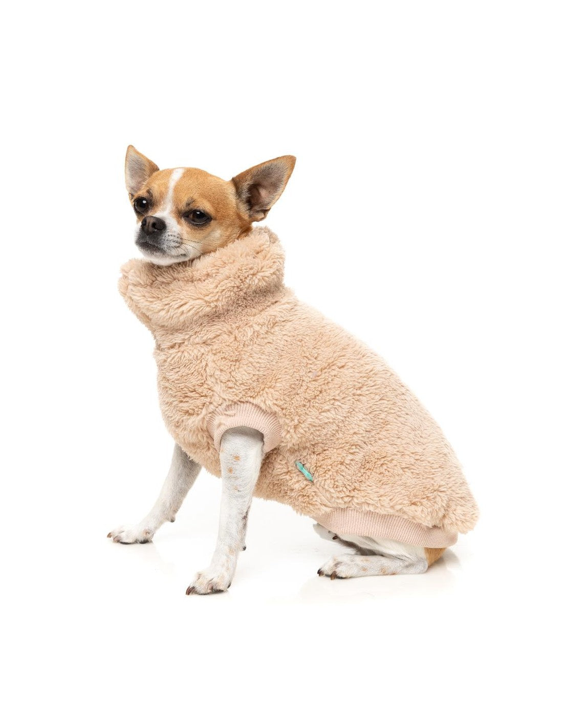 Fuzzyard Sweater - Turtle Teddy