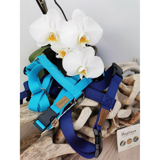 Haqihana Harness - Artic