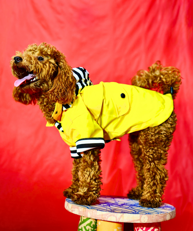 Dogs In Town - Impermeable para Perros