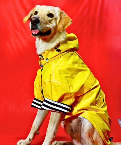 Dogs In Town - Impermeable para Perros
