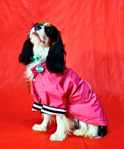 Dogs In Town - Impermeable para Perros