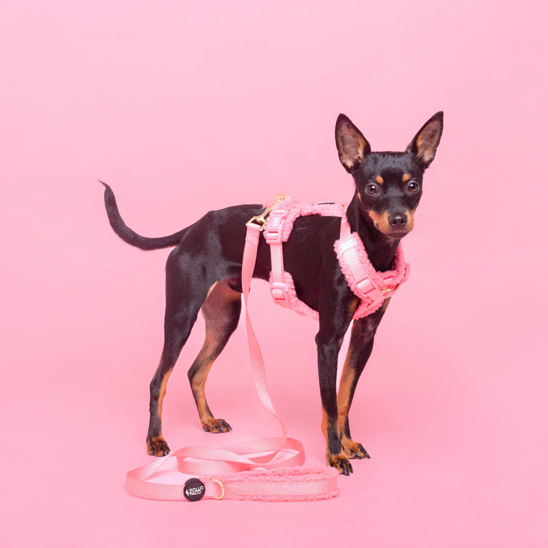 Pollo and Paco - Arnes Borreguito Rosa - arnés en Y para perros