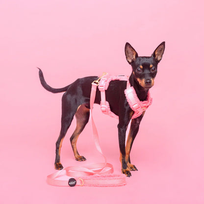 Pollo and Paco - Arnes Borreguito Rosa - arnés en Y para perros