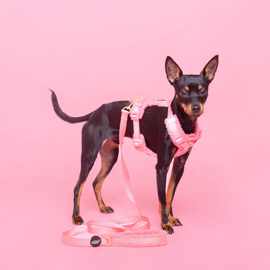 Pollo and Paco - Arnes Borreguito Rosa - arnés en Y para perros