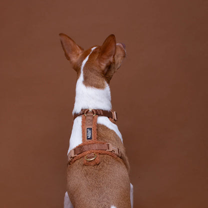 Pollo and Paco - Arnes Borreguito Camel - arnés en Y para perros