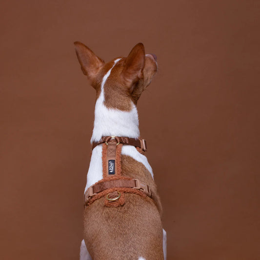 Pollo and Paco - Arnes Borreguito Camel - arnés en Y para perros