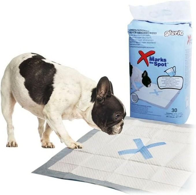 Gloria - Empapadores super absorbentes