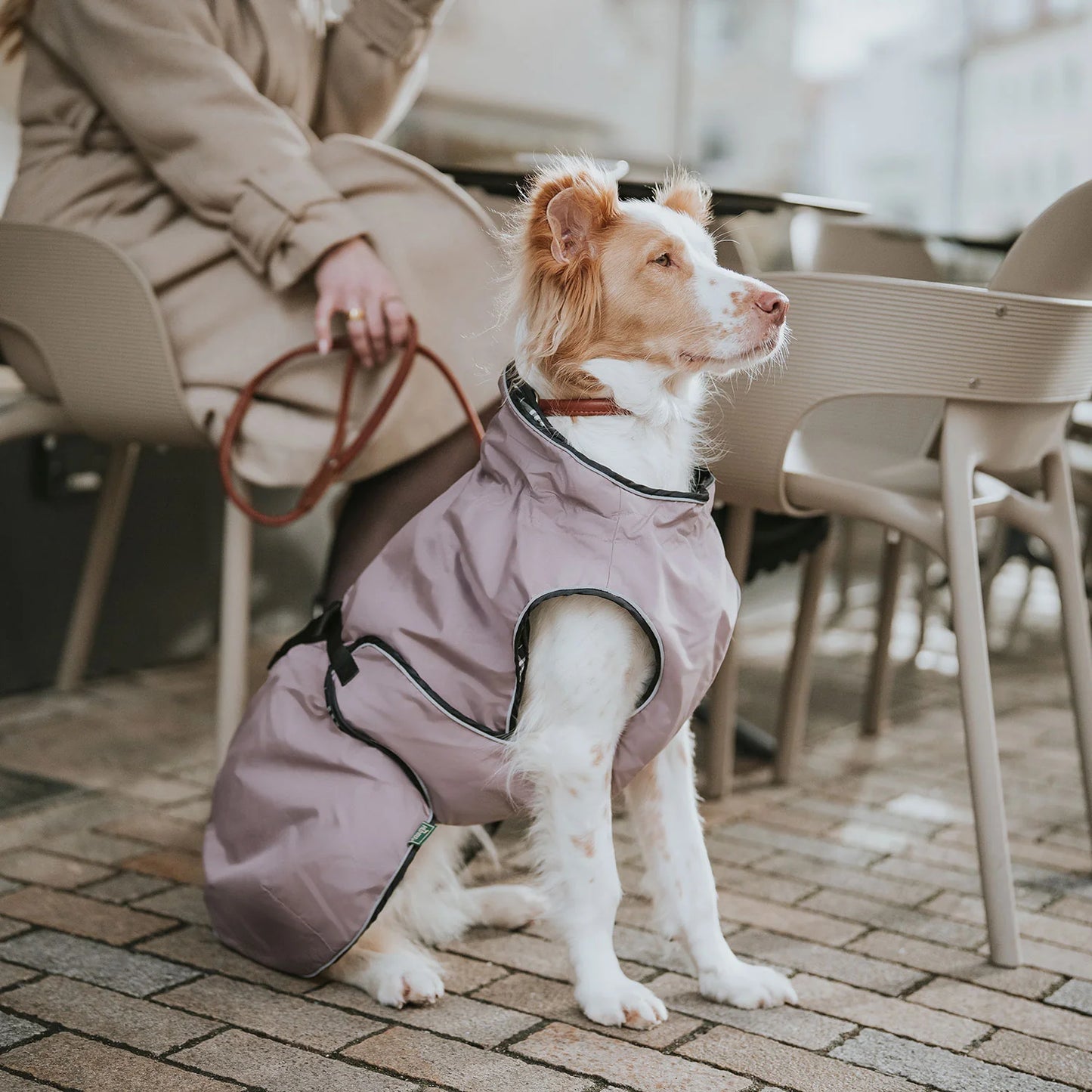 Hunter - Dog coat Uppsala