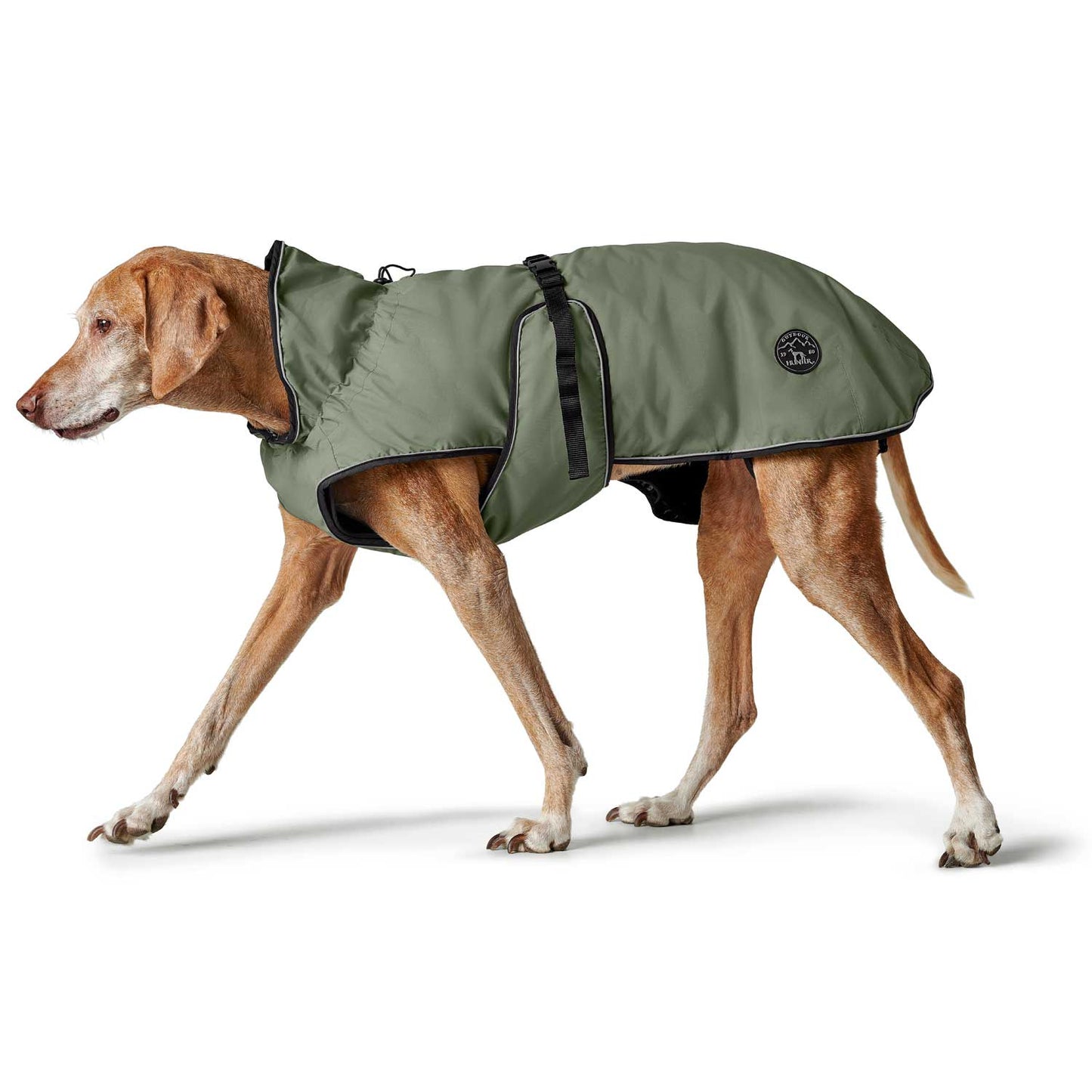 Hunter - Dog coat Uppsala