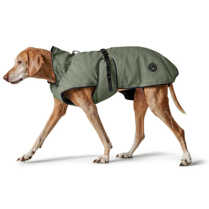 Hunter - Dog coat Uppsala