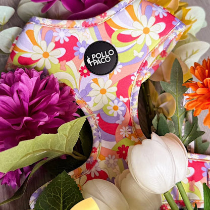 Pollo and Paco - FLOWER POWER - Arnés ajustable para perros