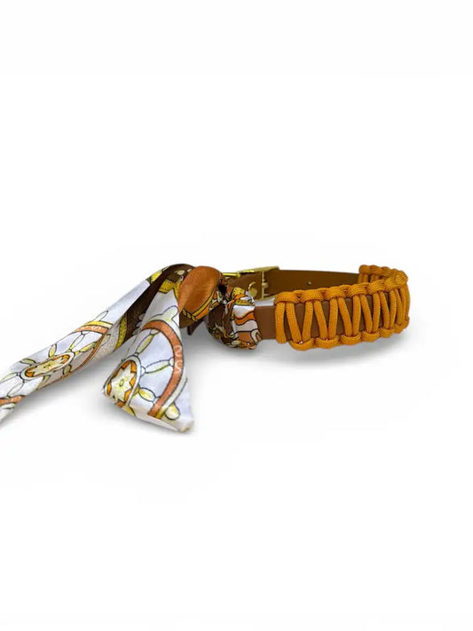 Marley & me collar Billy