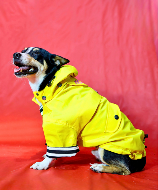 Dogs In Town - Impermeable para Perros