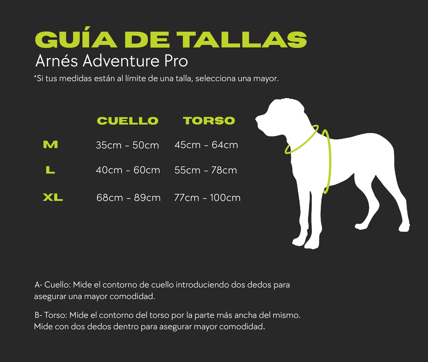 Pollo and Paco - Arnés Adventure Pro - ALHAMBRA