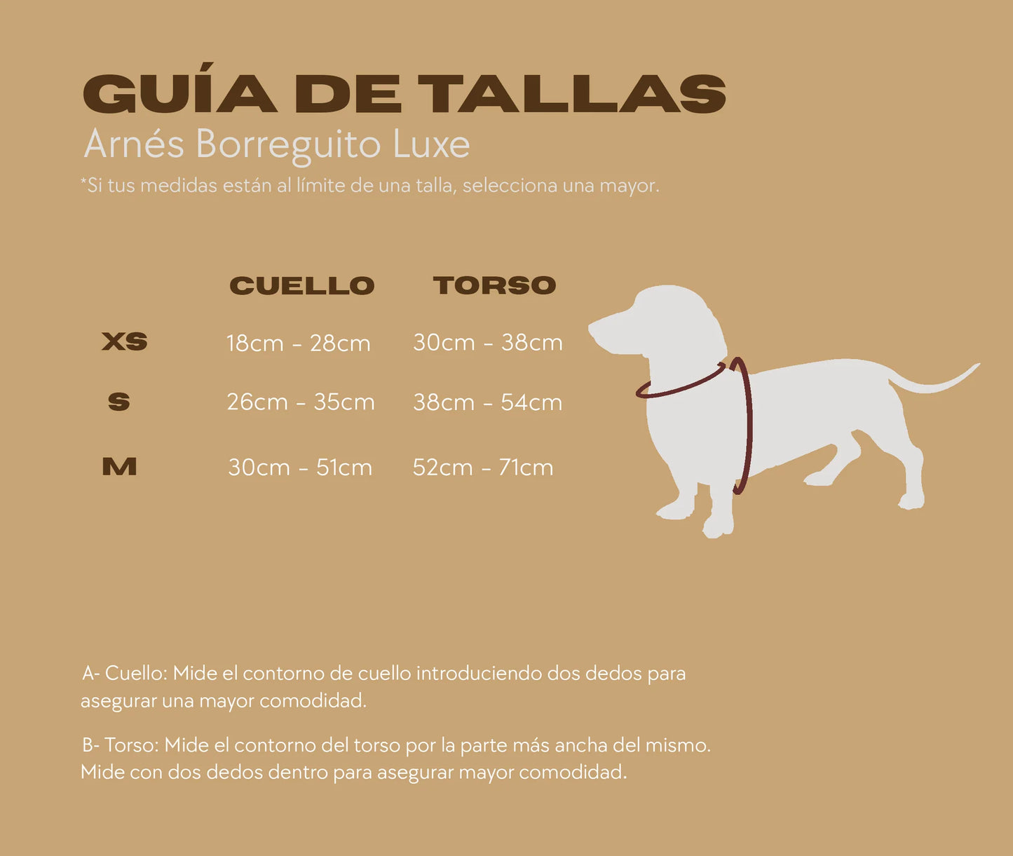 Pollo and Paco - Arnes Borreguito Rosa - arnés en Y para perros