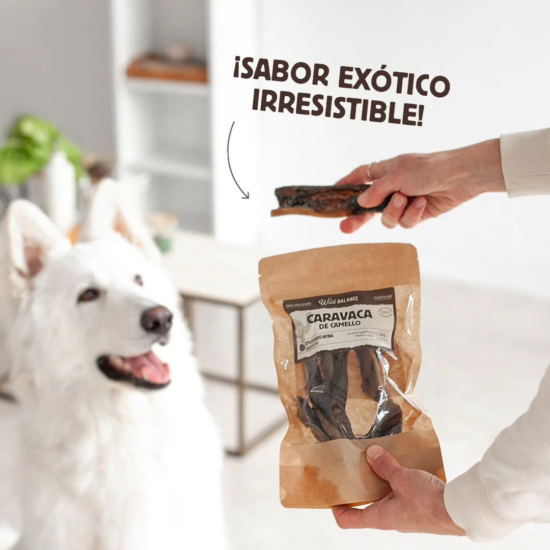 Wild Balance - Snacks Naturales