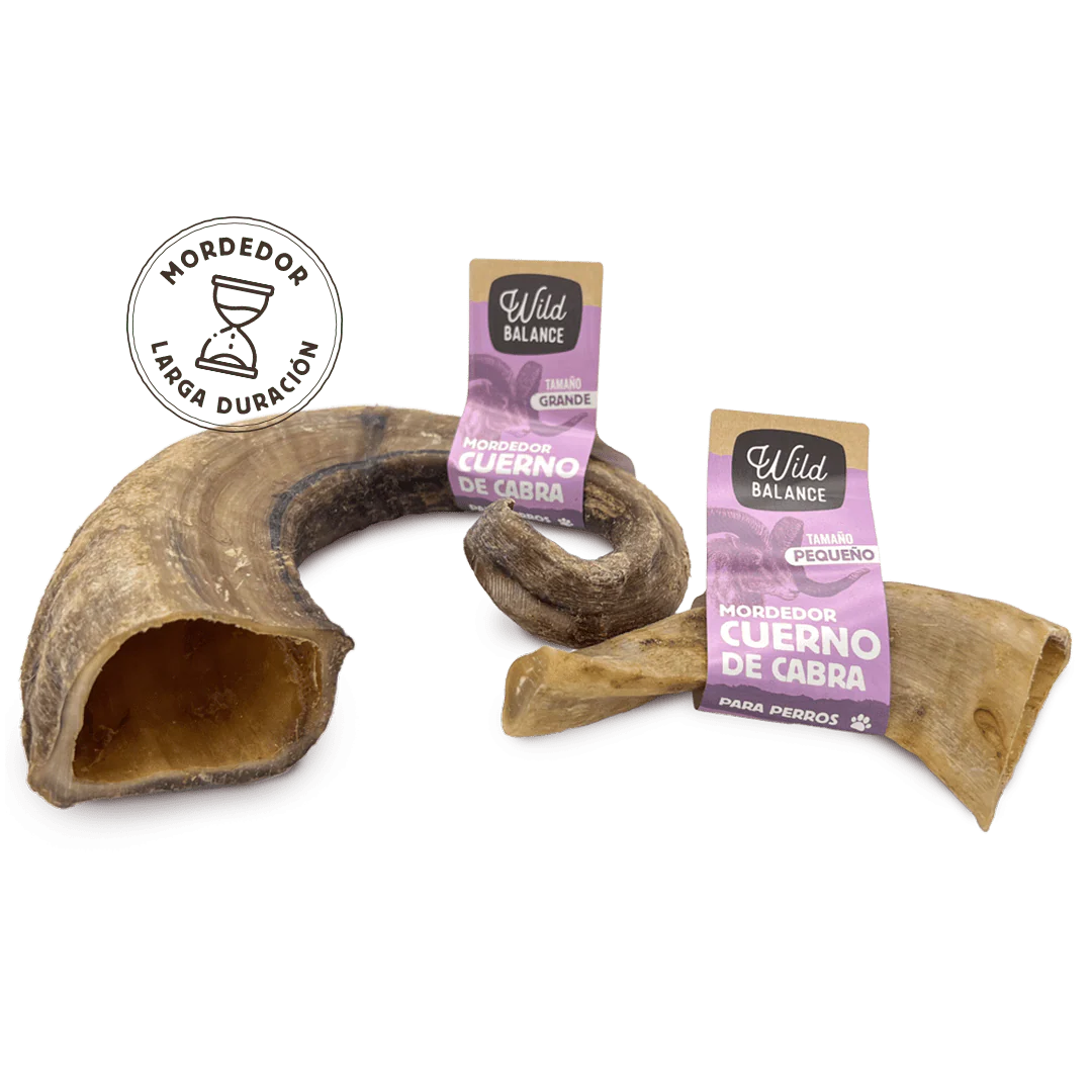 Wild Balance - Snacks Naturales