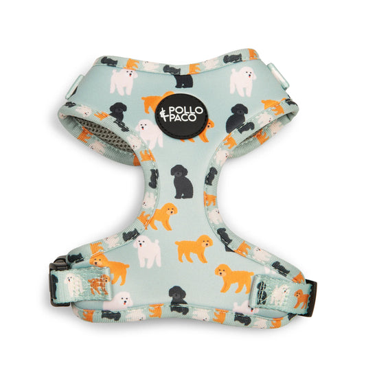 Pollo and Paco - CANICHE - Arnés ajustable para perros
