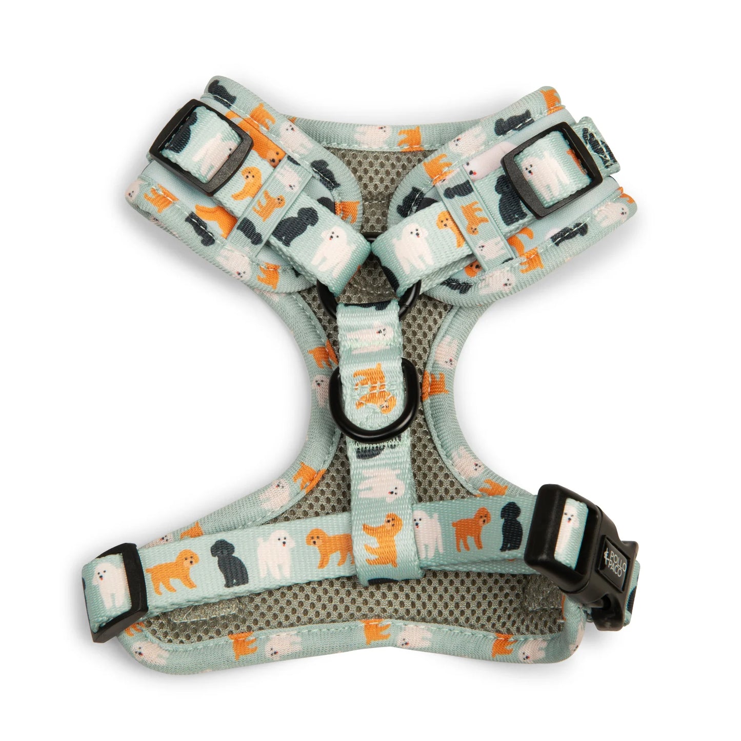 Pollo and Paco - CANICHE - Arnés ajustable para perros