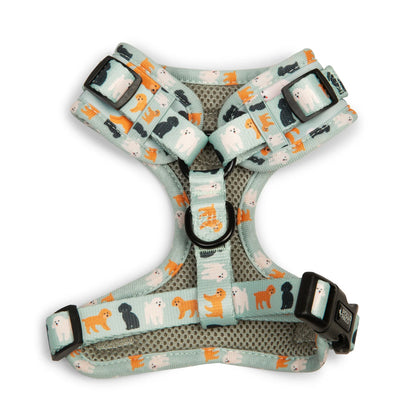 Pollo and Paco - CANICHE - Arnés ajustable para perros