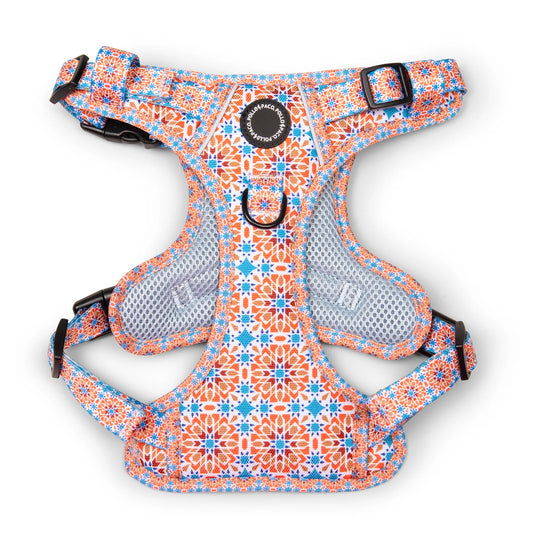 Pollo and Paco - Arnés Adventure Pro - ALHAMBRA