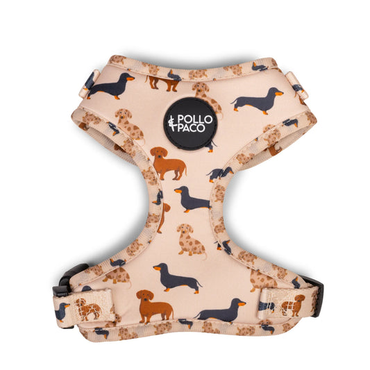 Pollo and Paco - TECKEL - Arnés ajustable para perros