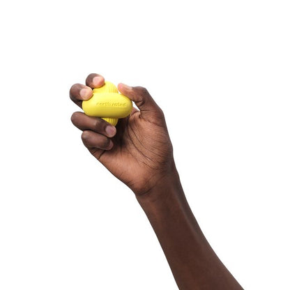 Earth Rated - Natural Rubber Fetch Toy