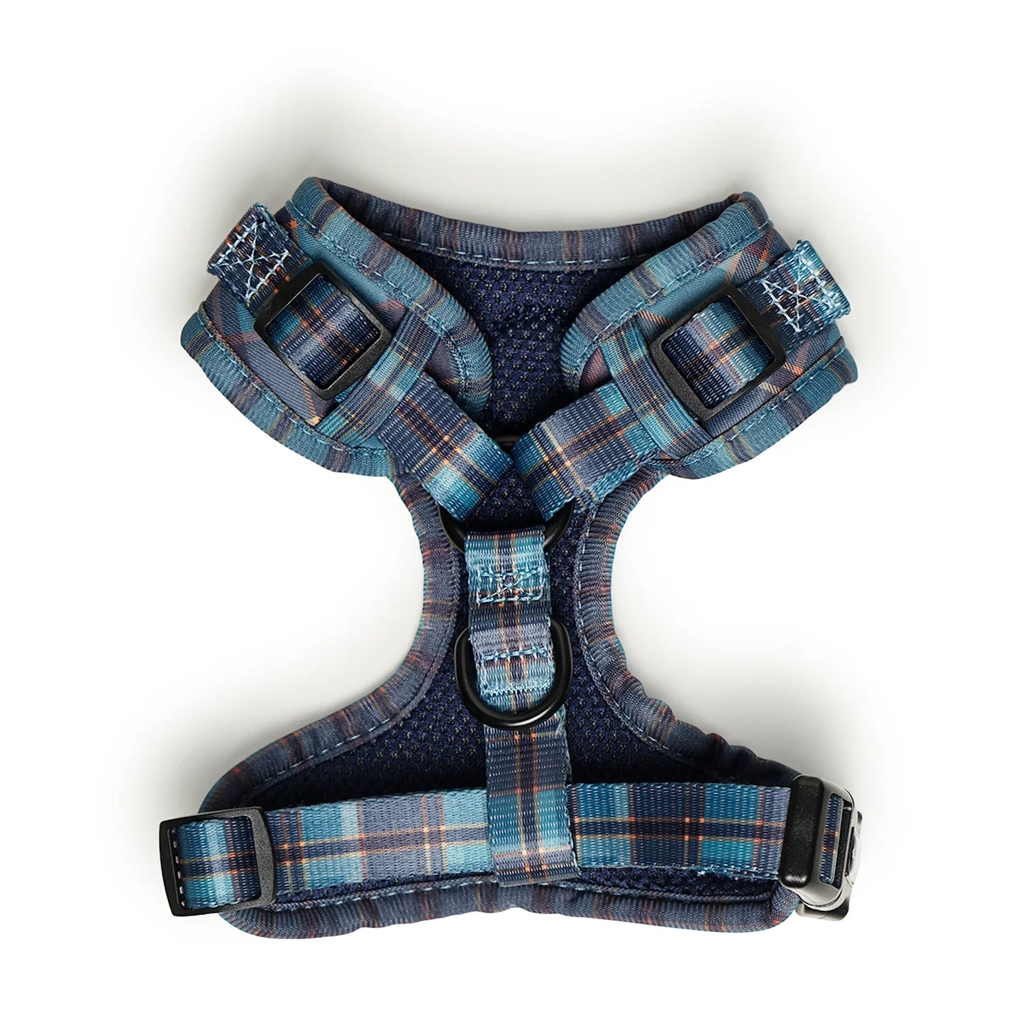 Pollo and Paco - ACADEMIA - Arnés para perros ajustable