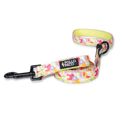 Pollo and Paco - Correa Estampada para Perros