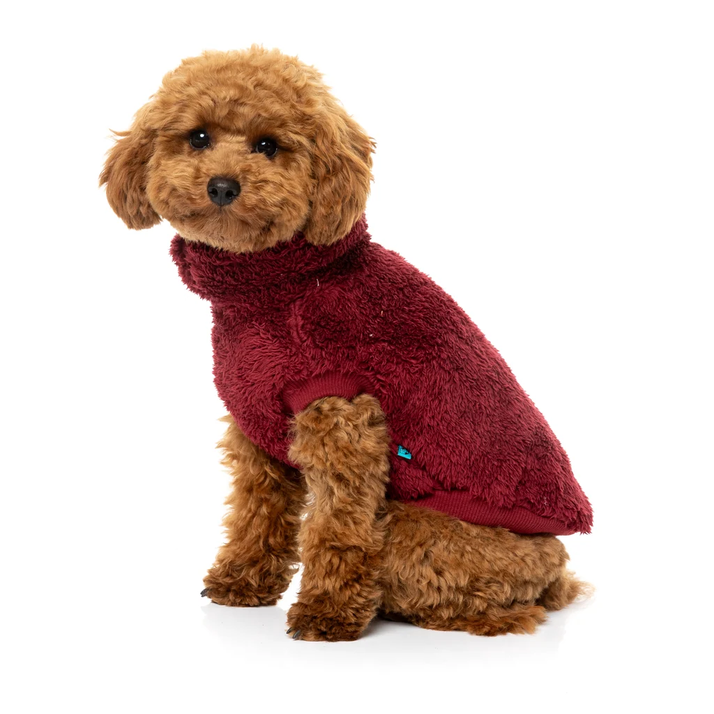 Fuazzyard - Turtle Teddy Sweater - Maroon