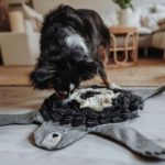 Alfombra Olfativa Billund de Hunter