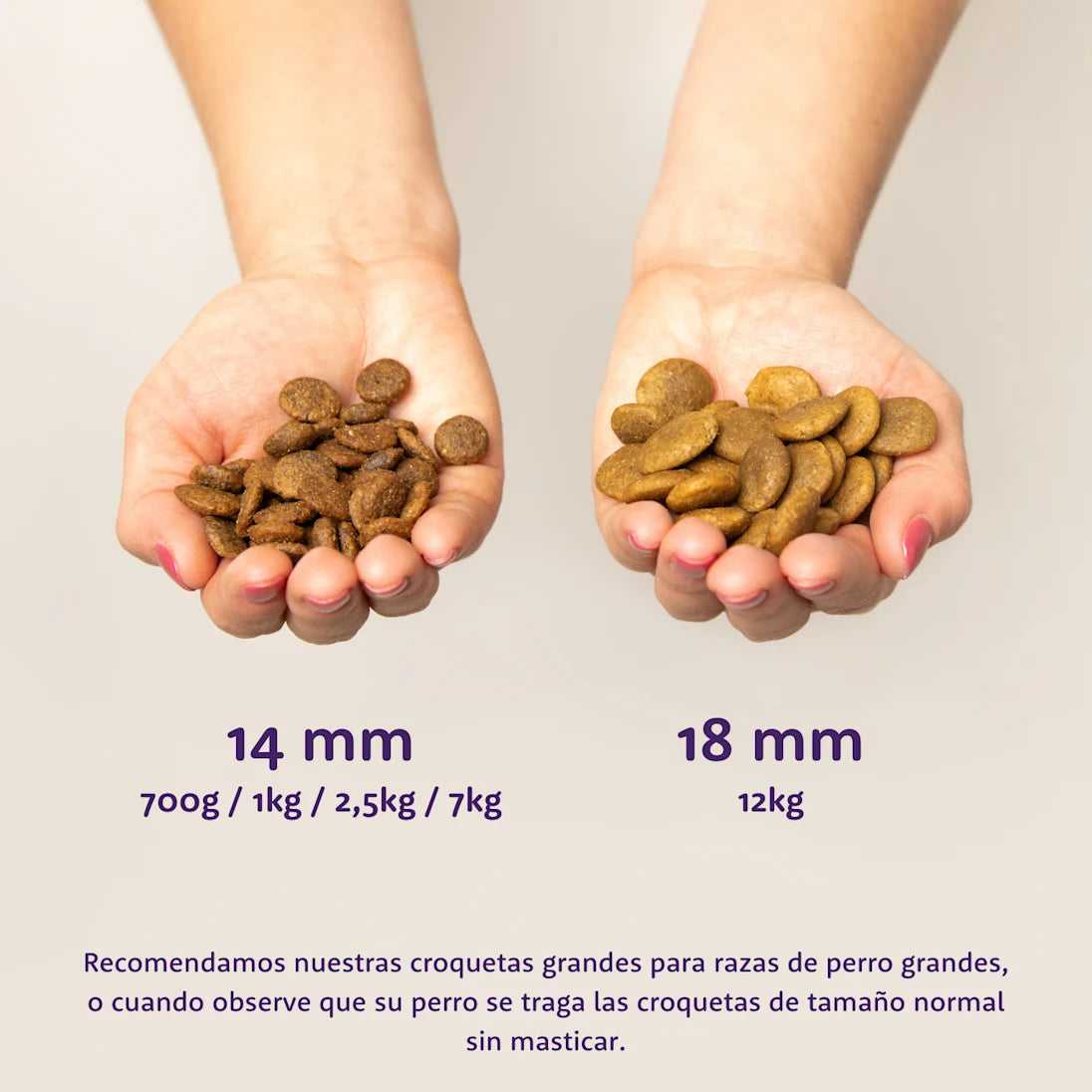 Edgard Cooper Pienso para perros - Salmón noruego