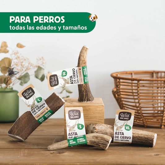 Wild Balance - Mordedor Asta de Ciervo entera