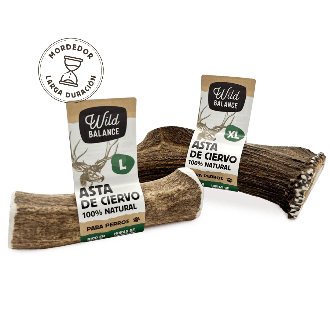 Wild Balance - Mordedor Asta de Ciervo entera