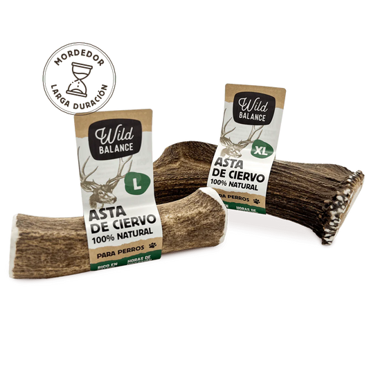 Wild Balance - Mordedor Asta de Ciervo entera