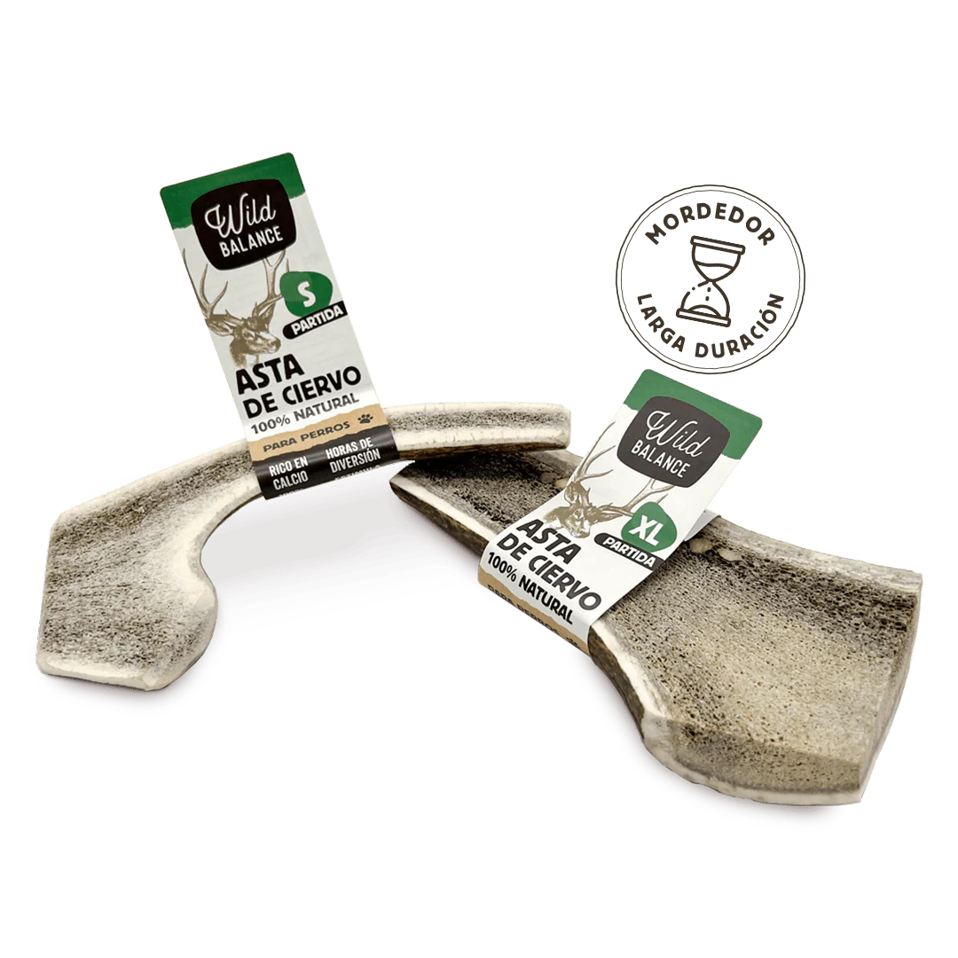 Wild Balance - Mordedor Asta de Ciervo entera