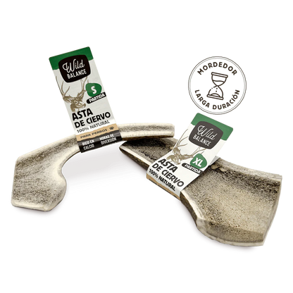 Wild Balance - Mordedor Asta de Ciervo entera