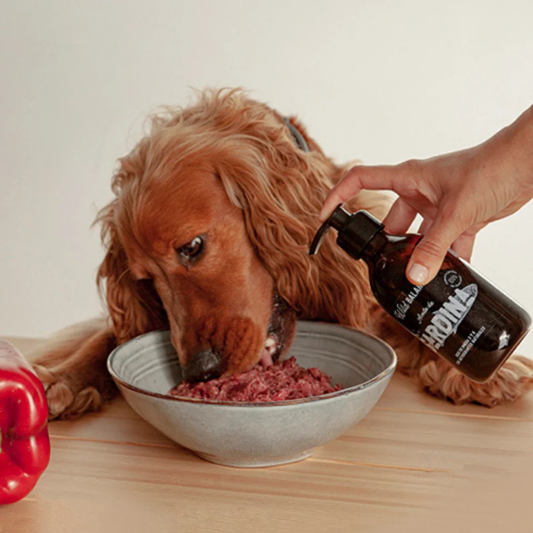 Wild Balance - Aceite natural de sardina